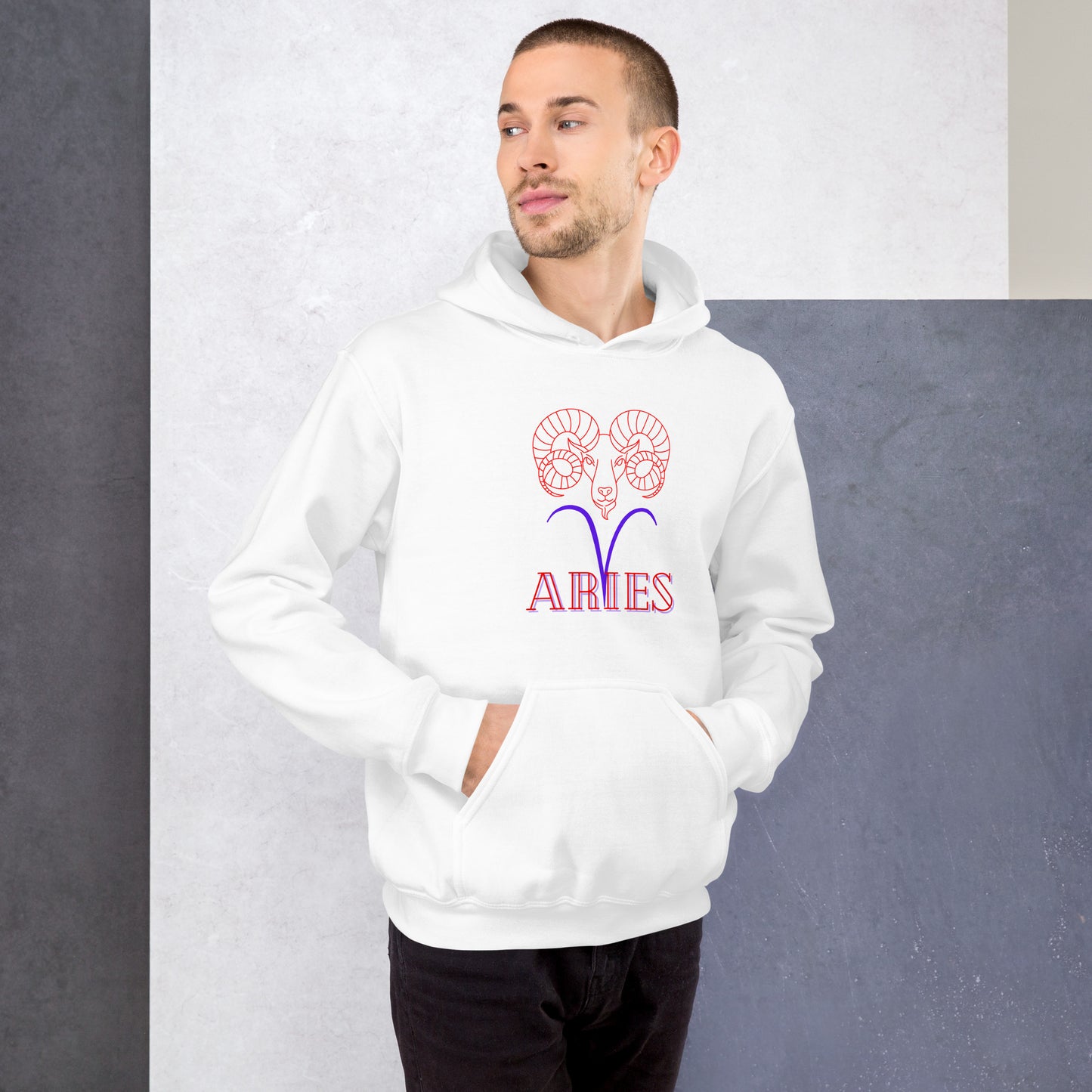 Aries ♈ Fashion Hoodie